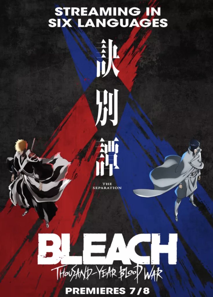 Bleach cover 2