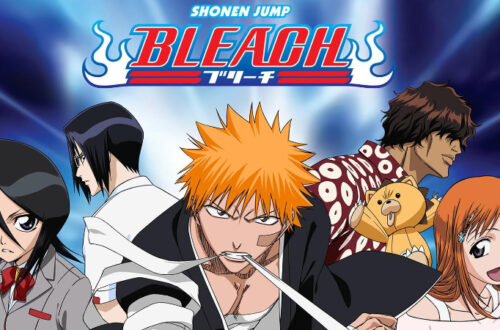 Bleach cover