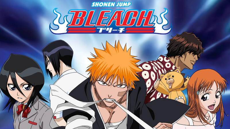 Bleach cover